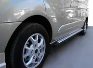 Ford Custom 2013-2022 Seitenschweller DOT-Line (2 Stk., Alu) Foto 1