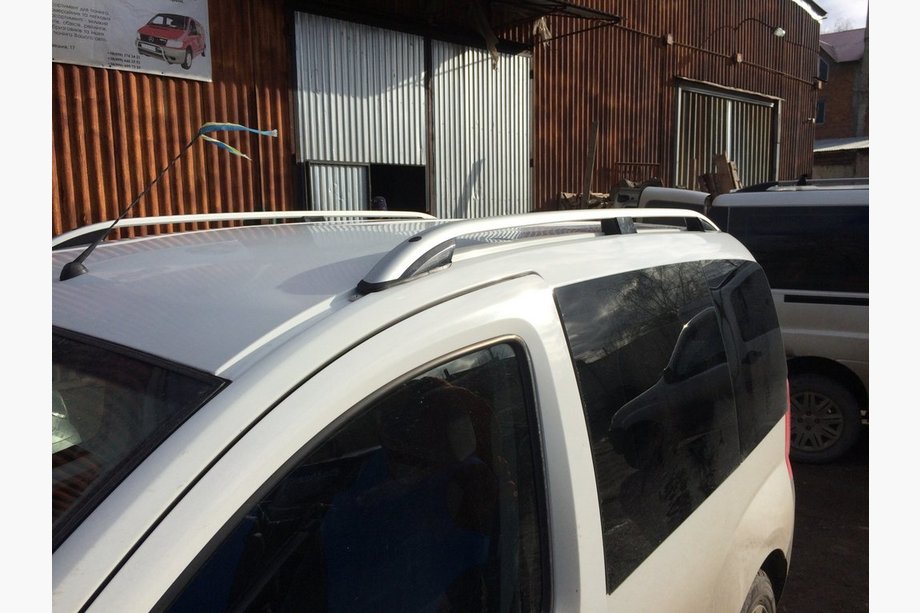 Citroen Nemo 2007-2017 Dachreling Skyport Grey V1 Foto 2