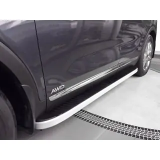 Seitenschweller Tayga Grey (2 Stk., Aluminium) Foto 4