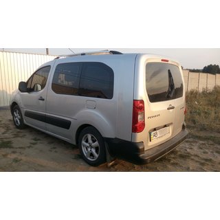 Dachreling Chrom Peugeot Partner Tepee 2008-2018 Foto 4
