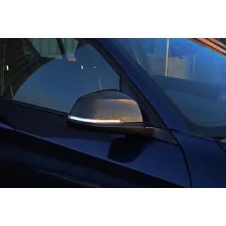 Spiegelabdeckungen (2 Stk, Echtcarbon)