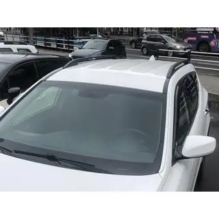 Universelle Dachreling Skyport 165 cm (schwarz) Foto 2