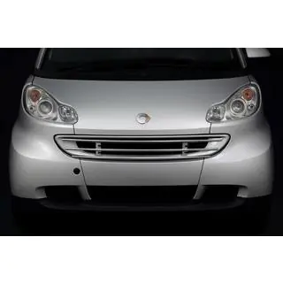 Frontschutzgitter Smart 2007-2014 Foto 1