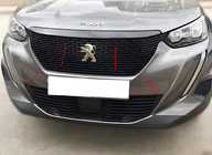 Peugeot 2008 2019- Kühlergrill Blenden (3 Stk, Edelstahl) Foto 1
