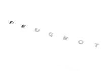 Peugeot Partner Tepee 2008-2018 Schriftzug Peugeot (630mm x 25mm) Foto 2