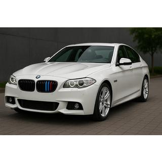 Einsätze für Kühlergrill 2010-2013 (3 Stk) BMW 5 Series F10/F11 2010–2016 Foto 1