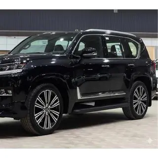 Schwarze Türleisten F-Sport weiß+schwarz (4 Stk, ABS) Foto 4