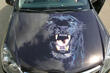 Kunst auf Rädern: Inspirierende Auto-Airbrush-Trends Foto 2
