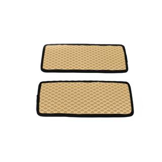 Polyurethan Einstiegsleisten Matten (2 Stk, EVA, Beige) Fiat Ducato 2006-2025 Foto 1