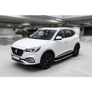 Seitenschweller Tayga Grey (2 Stk., Aluminium) Foto 1