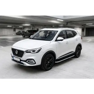 Seitenschweller Tayga Grey (2 Stk., Aluminium) Foto 1