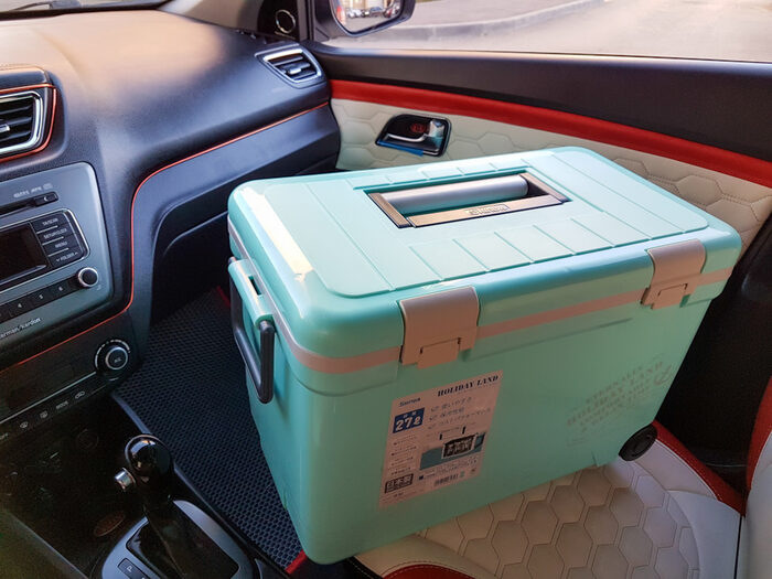 Thermobox im Auto: ein unverzichtbarer Helfer für unterwegs