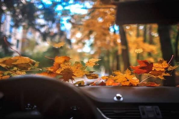 So bereiten Sie Ihr Auto auf den Herbst vor