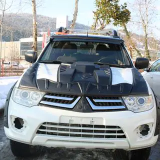 Motorhaubenaufsatz V4 (ABS) Foto 3