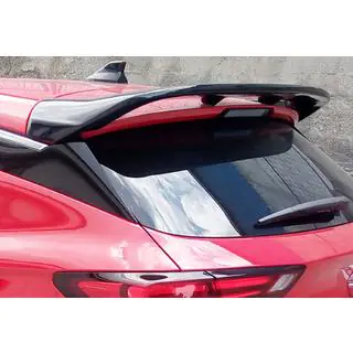 Spoiler DPT V-2 (Schwarz Glanz) Foto 1