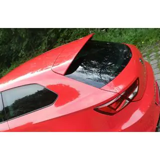 Spoiler DPT V-1 (2-türig, Schwarz Glanz) Foto 1