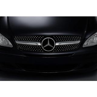 Frontgrill Diamond Silber (2004-2010) Foto 2