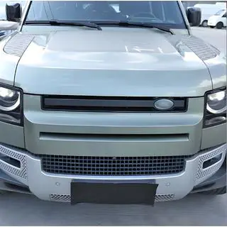 Grille Einsatz Foto 1