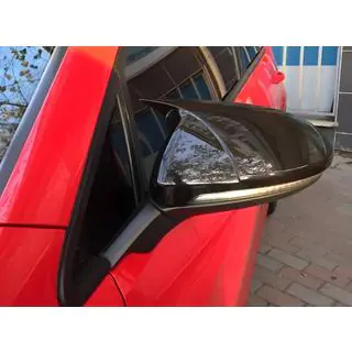 Spiegelabdeckungen BMW-Style (2 Stk) Foto 1