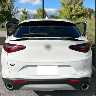 Unterer Spoiler V2 (2017-2023, Trockencarbon) Foto 2