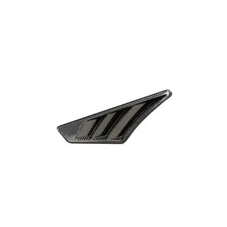 Kotflügelabdeckungen (2019-2022, Trockencarbon) Foto 2