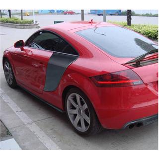 Seitenschweller V1 (Carbon) Audi ТТ 2006-2014 Foto 3