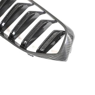 M-Look V1 Nieren (2020-2023, Carbon) Foto 4