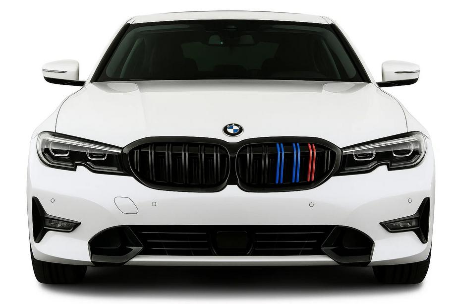 BMW 3 Series G20/G21 2018- M-Look V2 Nieren (2018-2022, M-Color mit schwarzem Rand) Foto 1
