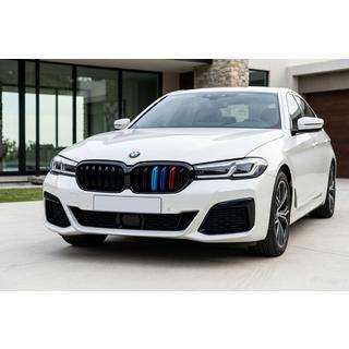 M-Look V1 Nieren (2021+, M-Color) BMW 5er G30/G31 2017–2023 Foto 1