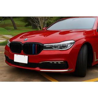 Nieren 1 Bar (2016-2019, M-Color) BMW 7 Series G11/G12 2015-2022 Foto 1