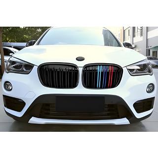 Nieren M-Look (2015-2019, M-Color) Foto 1