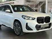 BMW X1/iX1 (U11) 2022- Nieren 1 Bar (Schwarz Glanz) Foto 3