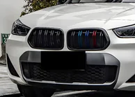 BMW X2 F39 2018-2023 Nieren M-Look (M-Color) Foto 1
