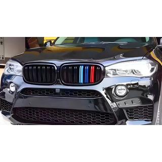 Nieren M-Look (M-Color) BMW X6 F16 2014-2019 Foto 1