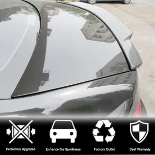 Spoiler SD V4 (Carbon) Foto 2