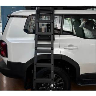 Seitenleiter Toyota Land Cruiser Prado 250 2023- Foto 1