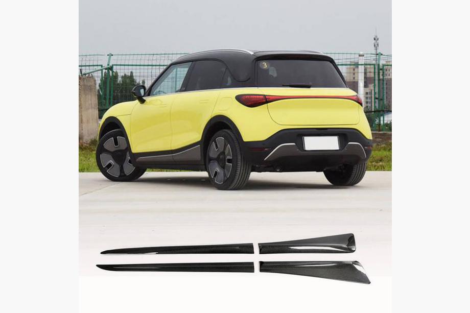 Smart 1 2022- Seitenschweller (Carbon) Foto 1