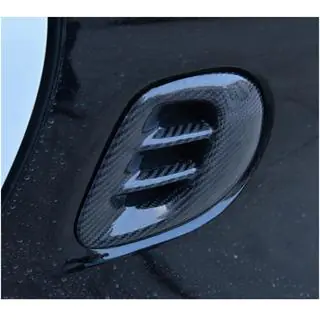 Carbon Abdeckung für hinteren Kotflügel (für fortwo) Smart 2014- Foto 2