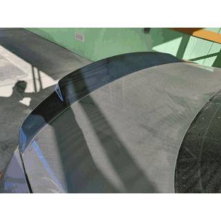 Spoiler SD V2 (für G37 2009-2013, G25 2011-2012, Carbon) Foto 3