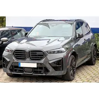 Nieren im Stil (Für X5M F95, 2023+) Foto 1