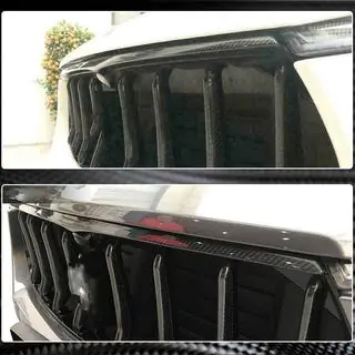 Kühlergrill Abdeckung (für Base/S, Carbon) Foto 4