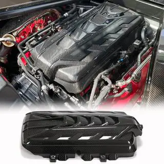 Motorabdeckung (2019-2022, Carbon)