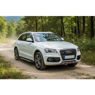 Trittbretter Duru (2 Stk., Aluminium) Audi Q5 2008-2017 Foto 1