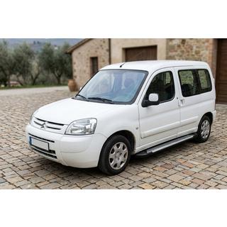 Seitenschweller Line (2 Stk., Aluminium) Citroen Berlingo 1996-2008 Foto 1