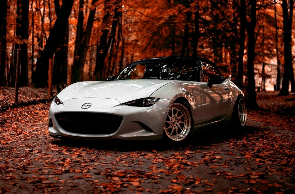 Autopflege im Herbst: 5 wichtige Regeln