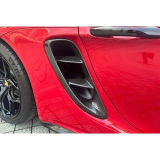 Heckkotflügel Verkleidungen (für GT4, Carbon) Foto 2