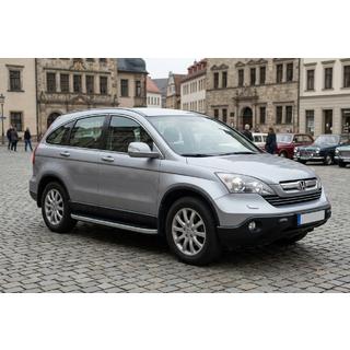 Seitenschweller Tayga Grey (2 Stk., Aluminium) Foto 1