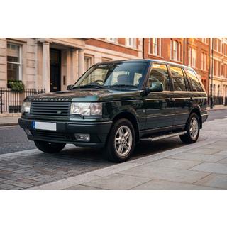 Trittbretter Duru (2 Stk., Aluminium) Range Rover II P38A 1997-2002 Foto 1