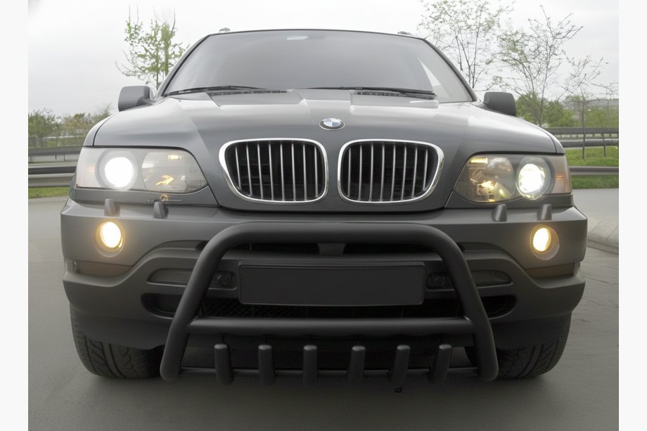 BMW X5 E53 1999–2006 Frontbügel WT003 Schwarz Edelstahl Foto 2