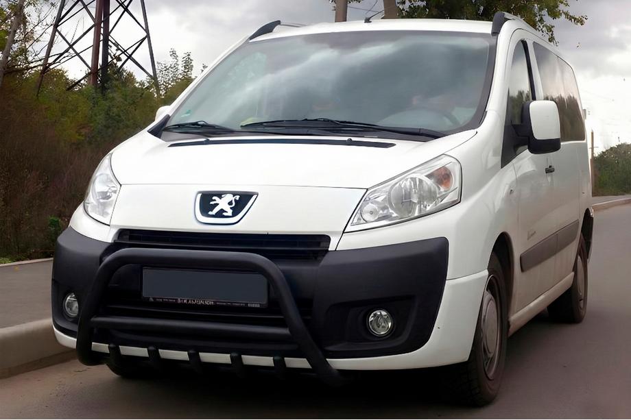 Peugeot Expert 2007-2016 Frontbügel WT003 Schwarz Edelstahl Image